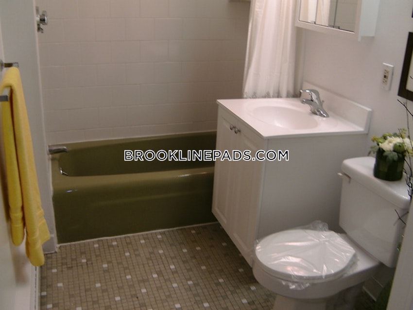 BROOKLINE- LONGWOOD AREA - 1 Bed, 1 Bath - Image 7