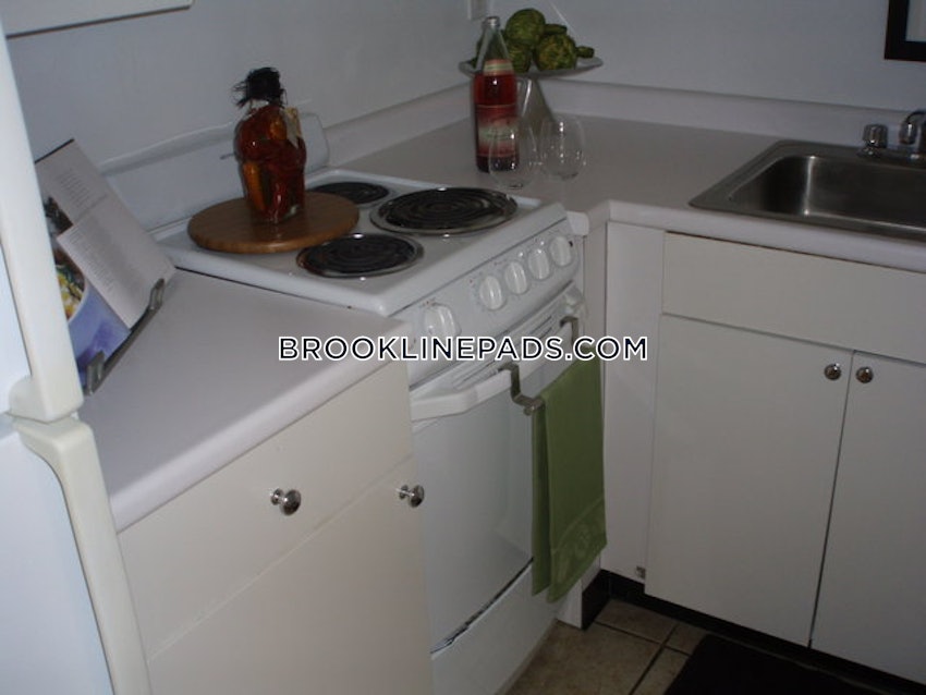 BROOKLINE- LONGWOOD AREA - 1 Bed, 1 Bath - Image 3