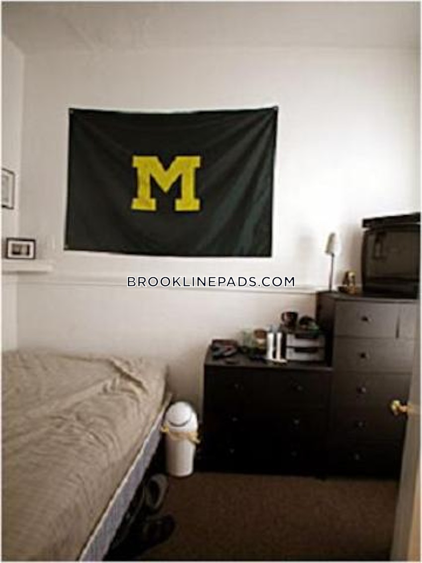 BROOKLINE- BOSTON UNIVERSITY - Studio , 1 Bath - Image 3