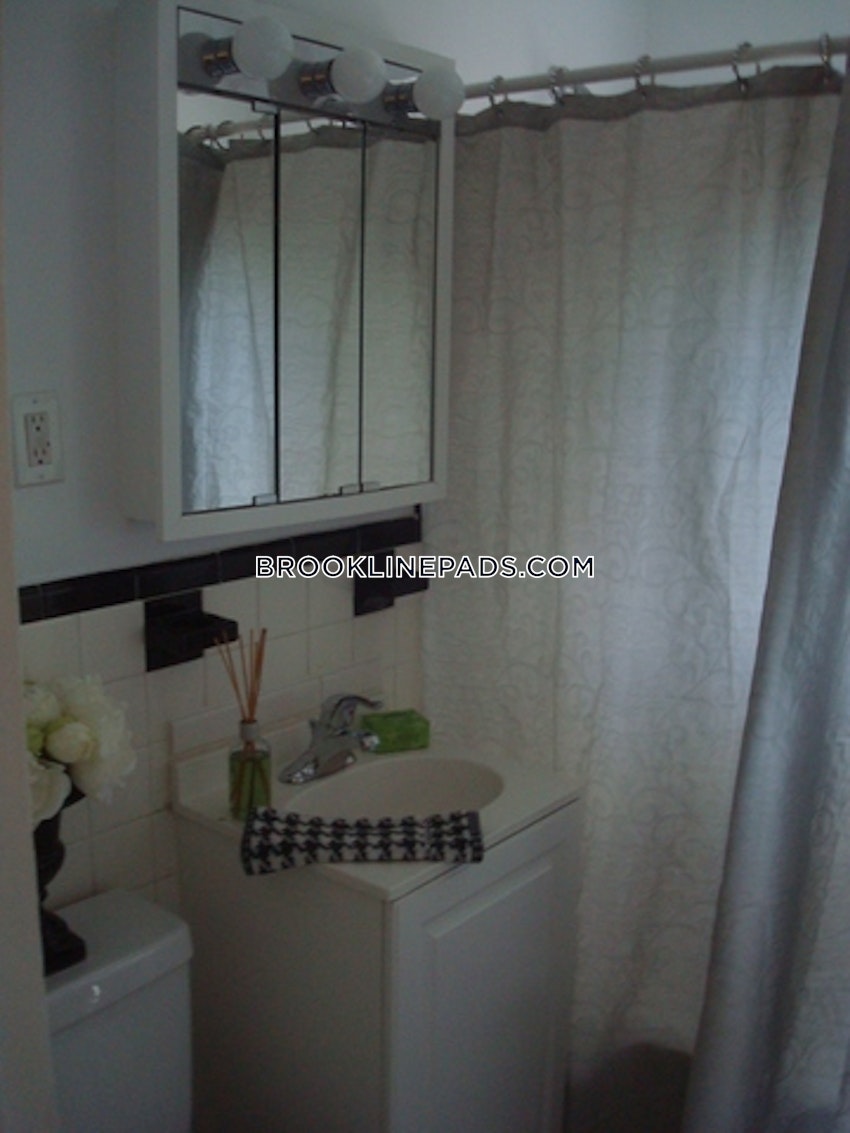BROOKLINE- LONGWOOD AREA - 1 Bed, 1 Bath - Image 9