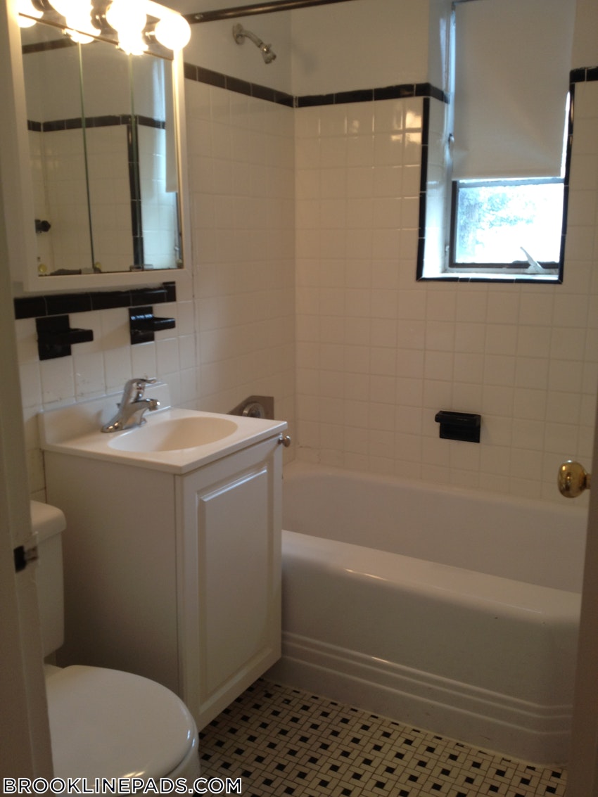 BROOKLINE- COOLIDGE CORNER - 1 Bed, 1 Bath - Image 29