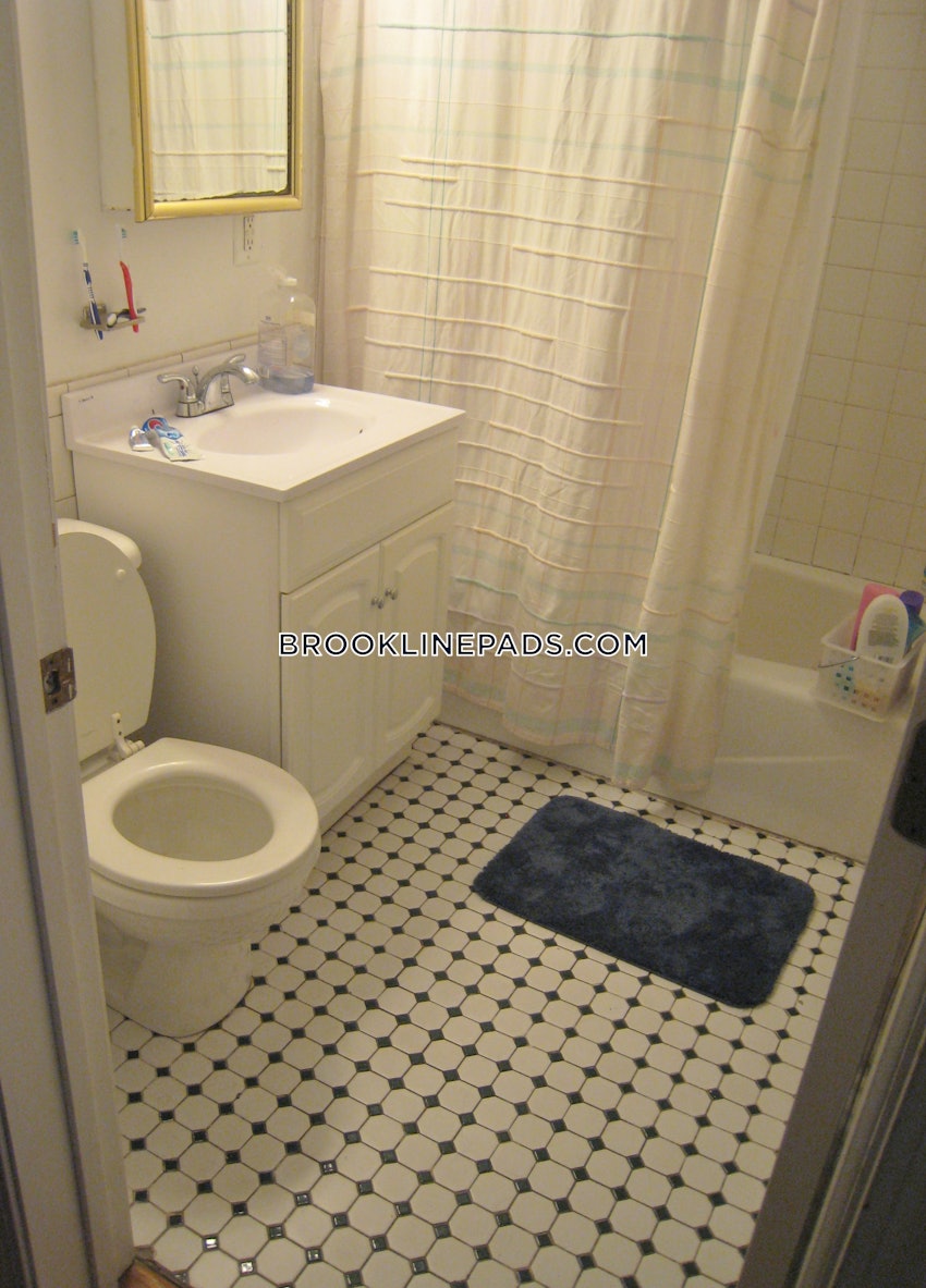 BROOKLINE- BOSTON UNIVERSITY - 3 Beds, 1 Bath - Image 19