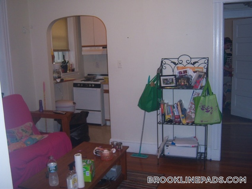 BROOKLINE- WASHINGTON SQUARE - 2 Beds, 1 Bath - Image 12