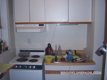 Washington Square, Brookline, MA - 2 Beds, 1 Bath - $2,900 - ID#5513754