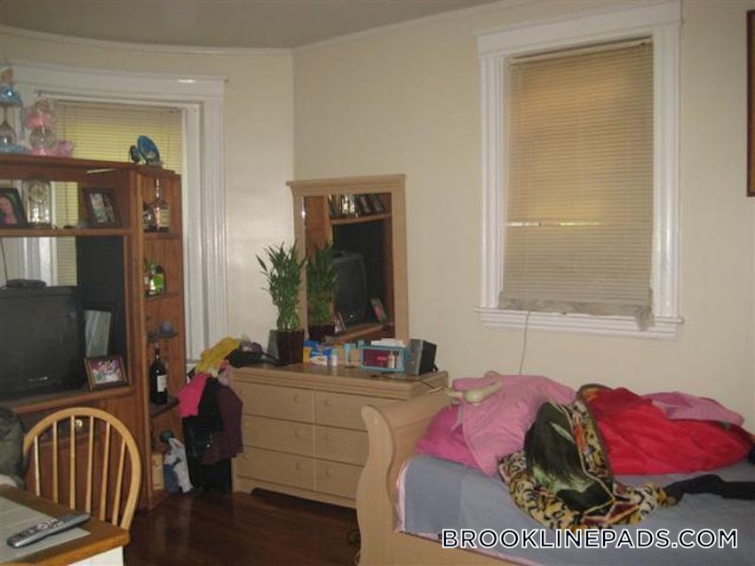 BROOKLINE- WASHINGTON SQUARE - 1 Bed, 1 Bath - Image 3