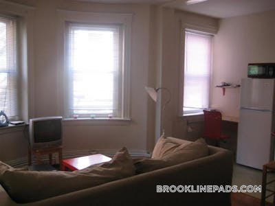 Brookline Apartment for rent 1 Bedroom 1 Bath  Washington Square - $2,150