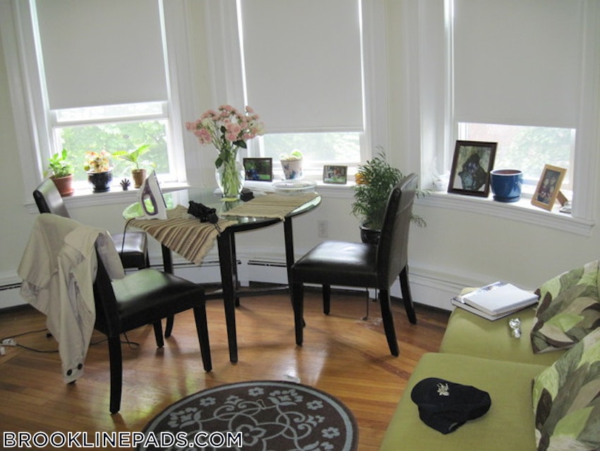 BROOKLINE- WASHINGTON SQUARE - 1 Bed, 1 Bath - Image 4