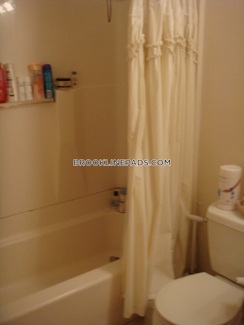 Brookline - Cleveland Circle - 2 Beds, 1 Bath - Image 8