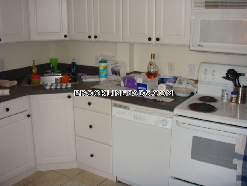 Brookline - Cleveland Circle - 2 Beds, 1 Bath - Image 6