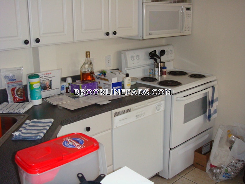 Brookline - Cleveland Circle - 2 Beds, 1 Bath - Image 3