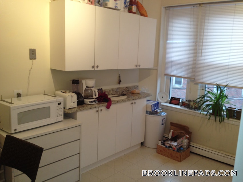 BROOKLINE- WASHINGTON SQUARE - 1 Bed, 1 Bath - Image 5