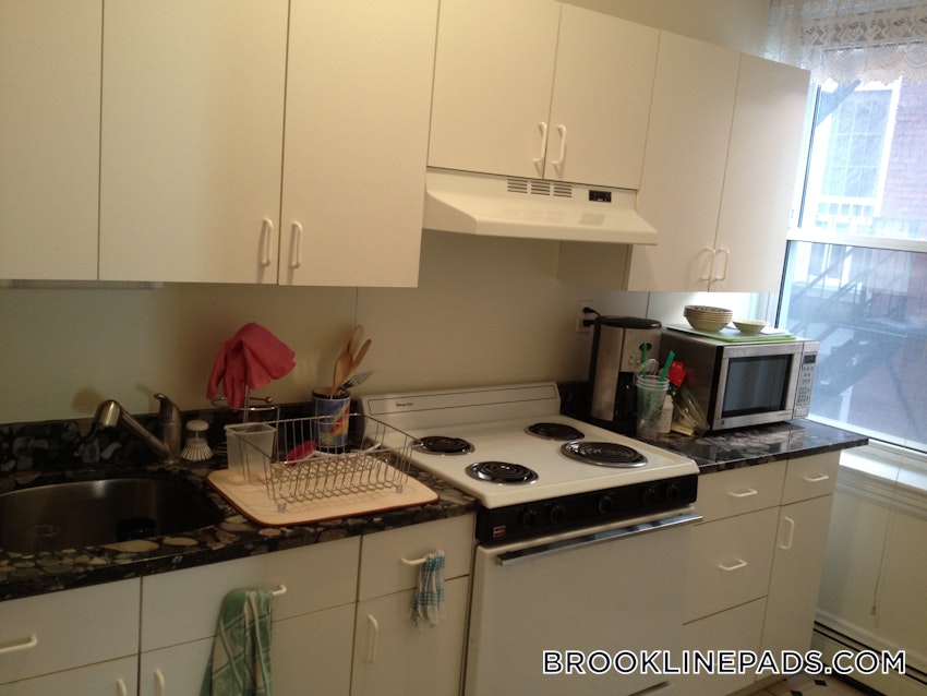 BROOKLINE- WASHINGTON SQUARE - 1 Bed, 1 Bath - Image 4