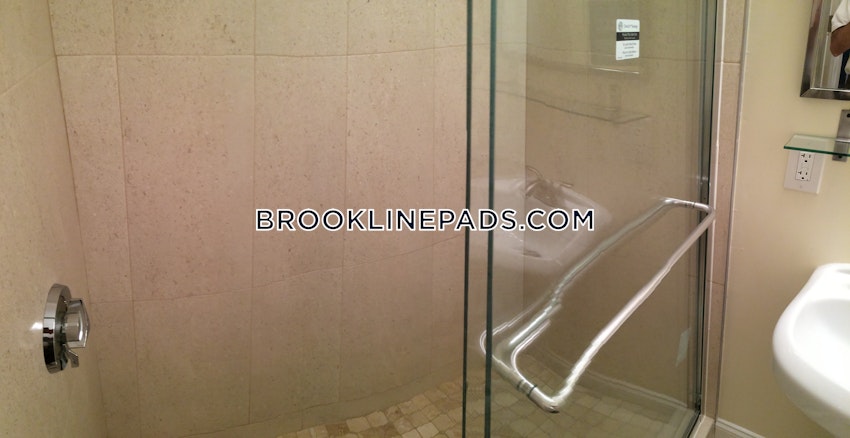 Brookline - Washington Square - 2 Beds, 2 Baths - Image 1
