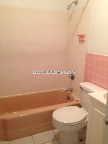 Washington Square, Brookline, MA - 1 Bed, 1 Bath - $2,545 - ID#4672520