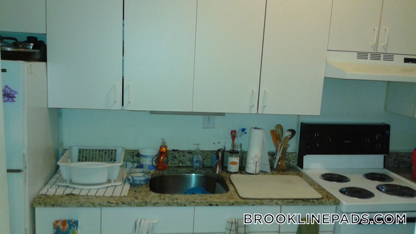 BROOKLINE- WASHINGTON SQUARE - 1 Bed, 1 Bath - Image 4