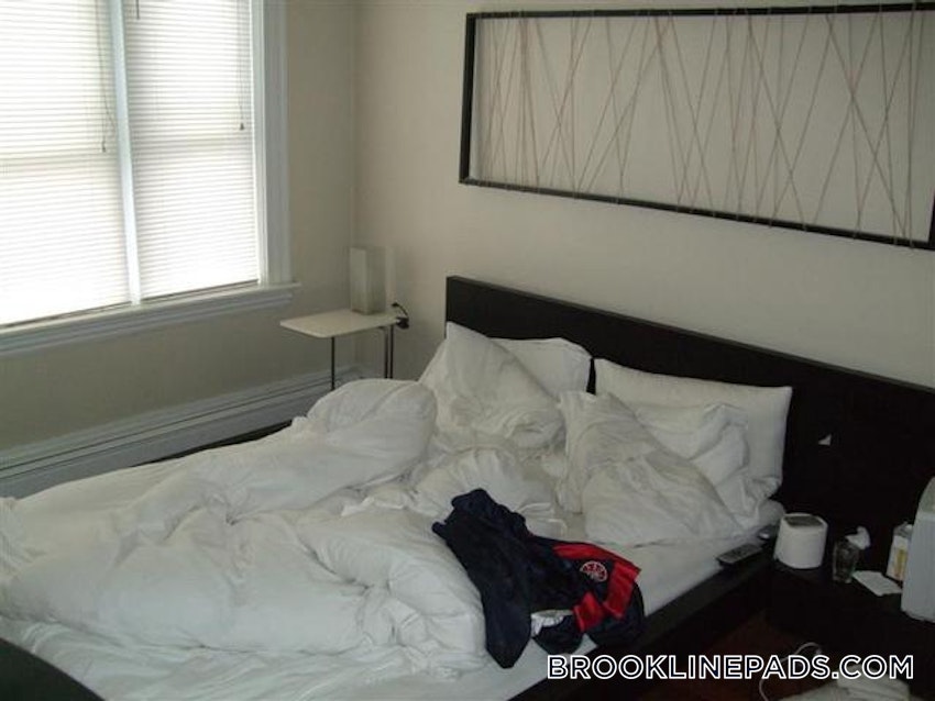 BROOKLINE- WASHINGTON SQUARE - 1 Bed, 1 Bath - Image 44