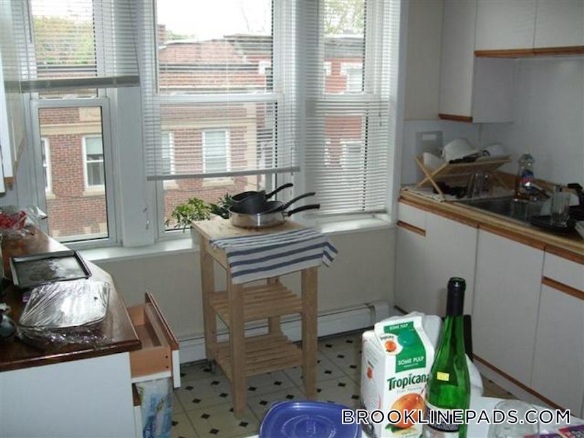 BROOKLINE- WASHINGTON SQUARE - 1 Bed, 1 Bath - Image 42