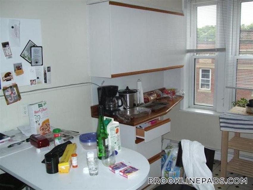 BROOKLINE- WASHINGTON SQUARE - 1 Bed, 1 Bath - Image 41