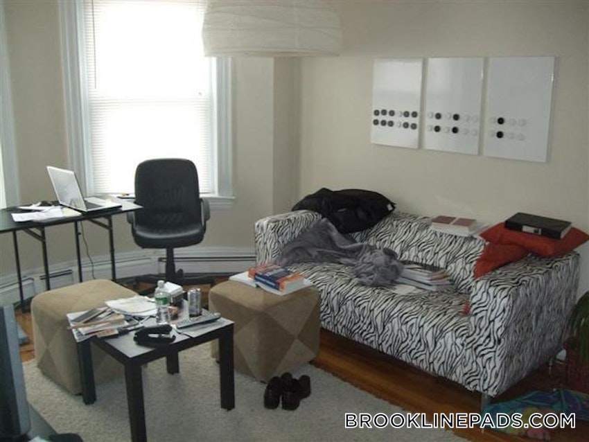 BROOKLINE- WASHINGTON SQUARE - 1 Bed, 1 Bath - Image 39