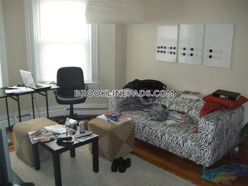 BROOKLINE- WASHINGTON SQUARE - 1 Bed, 1 Bath - Image 39