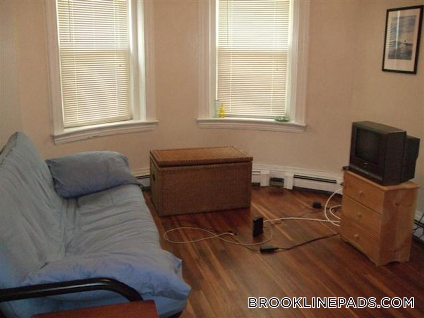 BROOKLINE- WASHINGTON SQUARE - 1 Bed, 1 Bath - Image 4