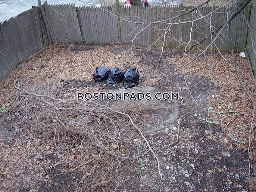 Cambridge - Central Square/Cambridgeport - 4 Beds, 2.5 Baths - Image 23