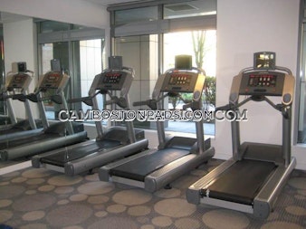 Franklin St. Cambridge