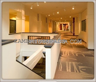 Franklin St. Cambridge