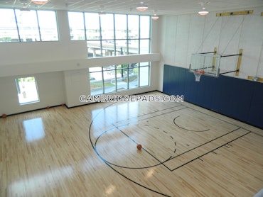 Cambridge - 1 Beds, 1 Baths