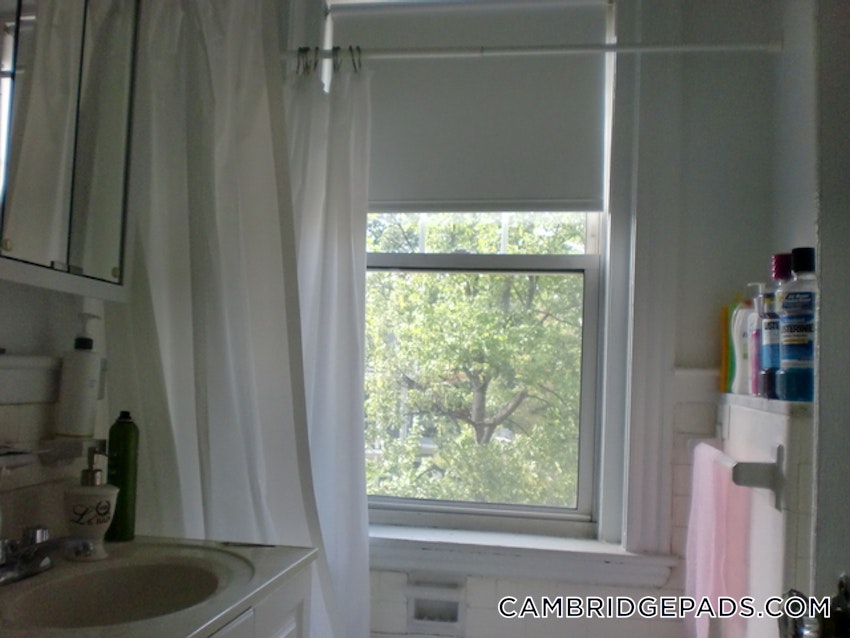 CAMBRIDGE - HARVARD SQUARE - 1 Bed, 1 Bath - Image 15