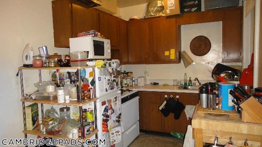 CAMBRIDGE - HARVARD SQUARE - 1 Bed, 1 Bath - Image 9