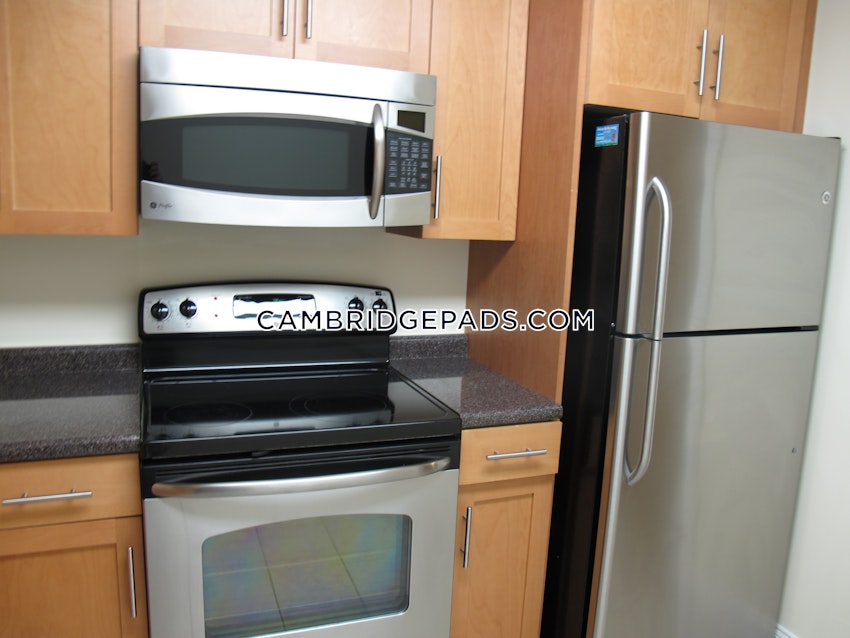 CAMBRIDGE - HARVARD SQUARE - 2 Beds, 1 Bath - Image 6