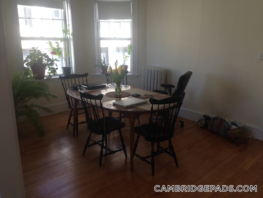 CAMBRIDGE - CENTRAL SQUARE/CAMBRIDGEPORT - 3 Beds, 1 Bath - Image 9