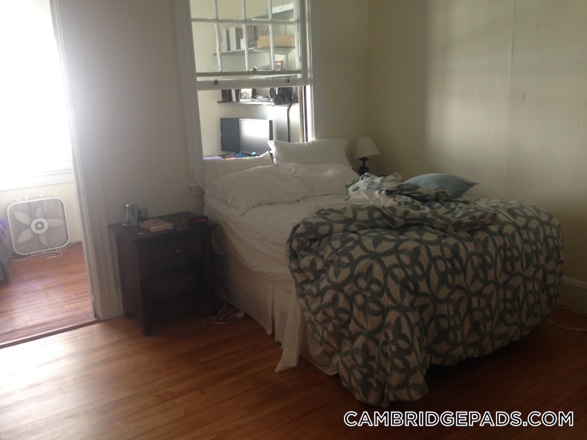 CAMBRIDGE - CENTRAL SQUARE/CAMBRIDGEPORT - 3 Beds, 1 Bath - Image 3