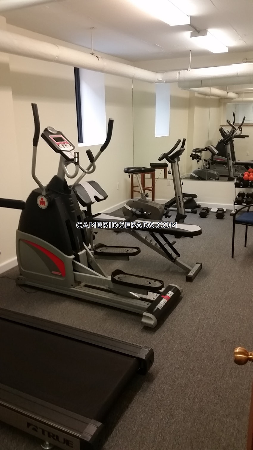 Cambridge - Harvard Square - 1 Bed, 1 Bath - Image 7