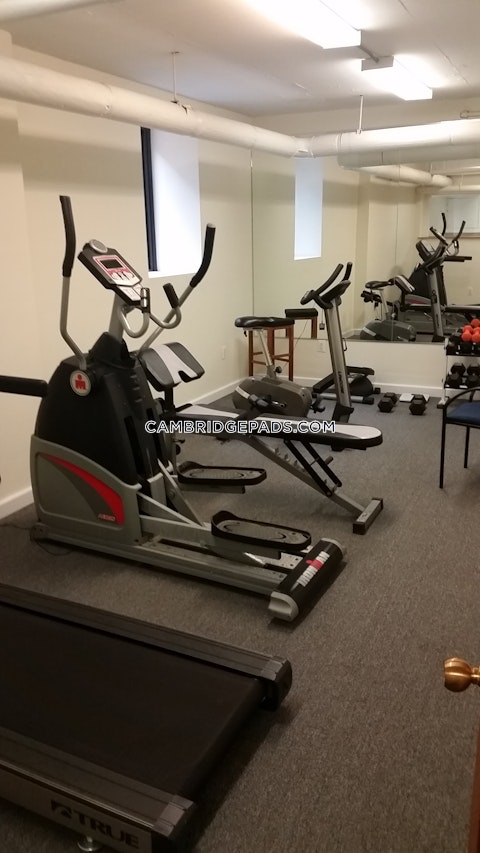 brattle St. Cambridge photo 7