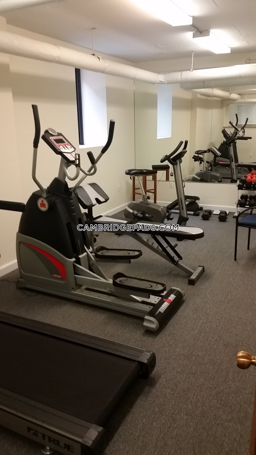 Cambridge - $3,695+ /month