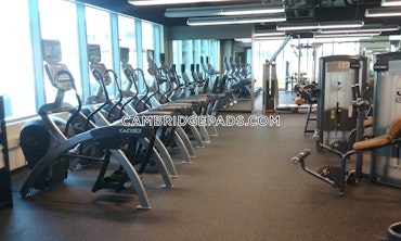 Cambridge - 1 Beds, 1 Baths