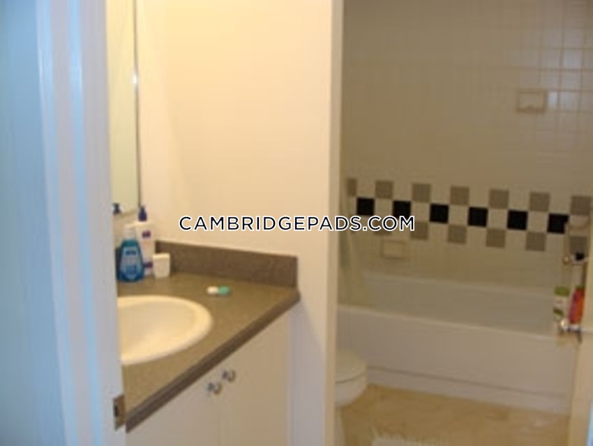 CAMBRIDGE - LECHMERE - 2 Beds, 1.5 Baths - Image 20