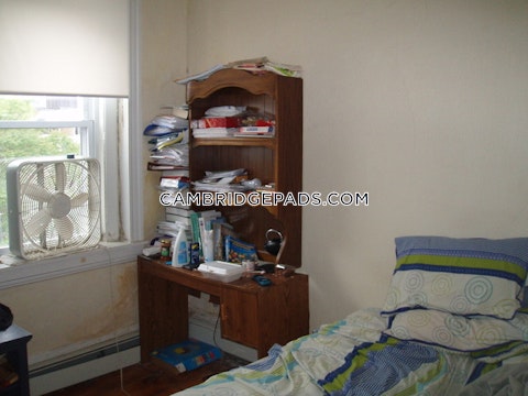 Berkshire St. Cambridge photo 14