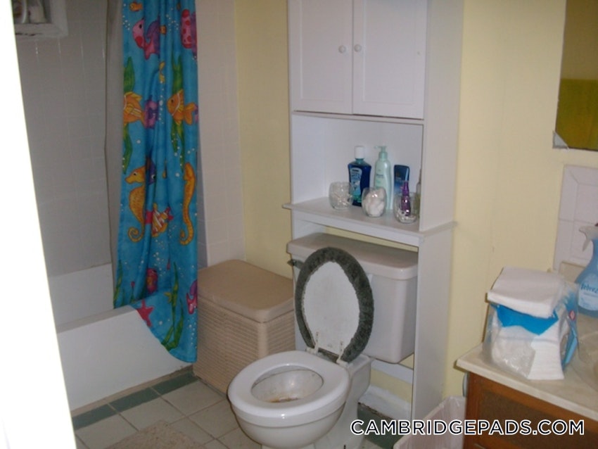 CAMBRIDGE - LECHMERE - 2 Beds, 1 Bath - Image 22