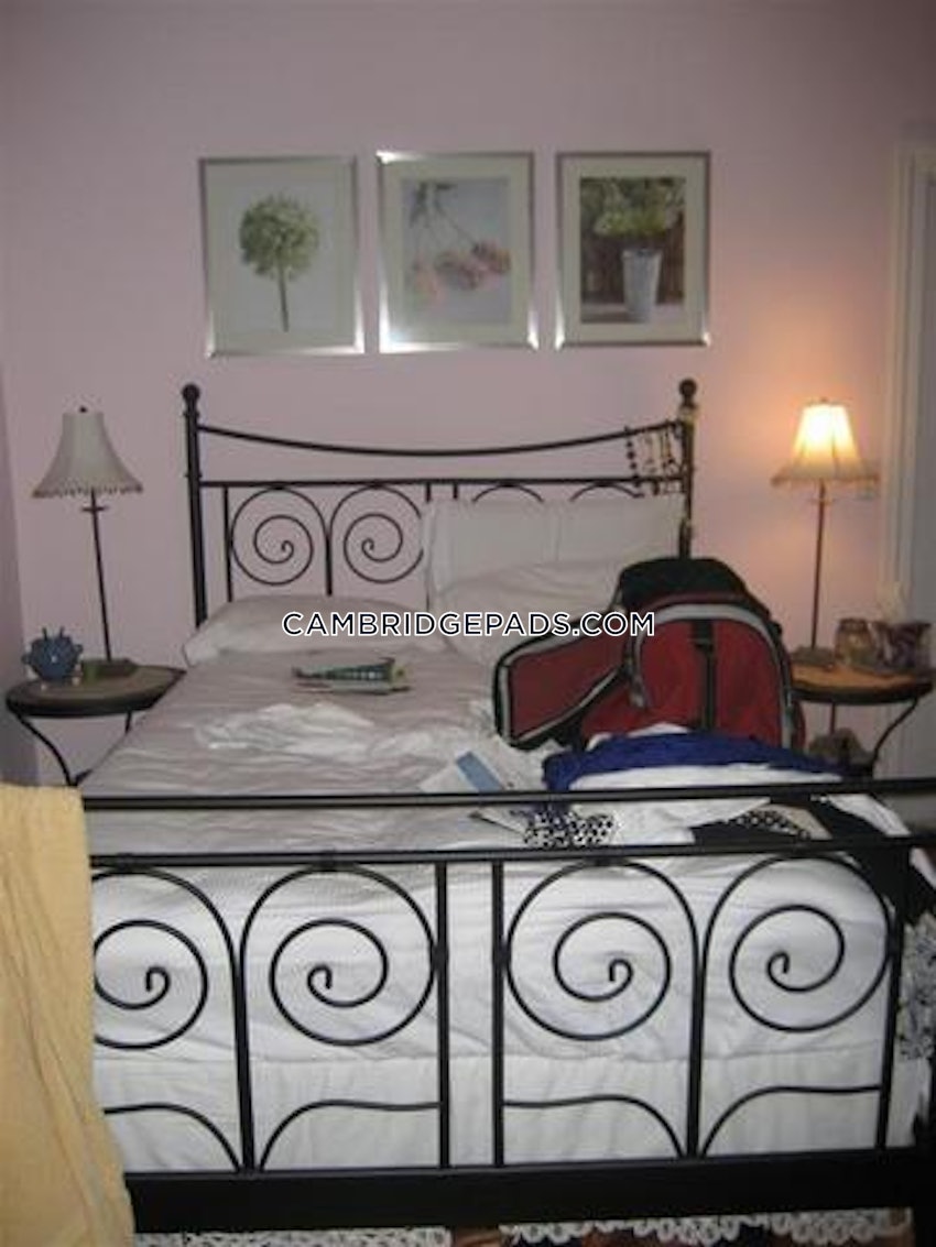 CAMBRIDGE - LECHMERE - 4 Beds, 1 Bath - Image 20