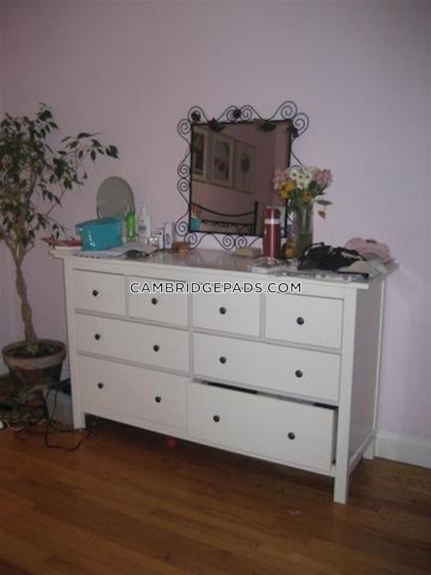 CAMBRIDGE - LECHMERE - 4 Beds, 1 Bath - Image 19