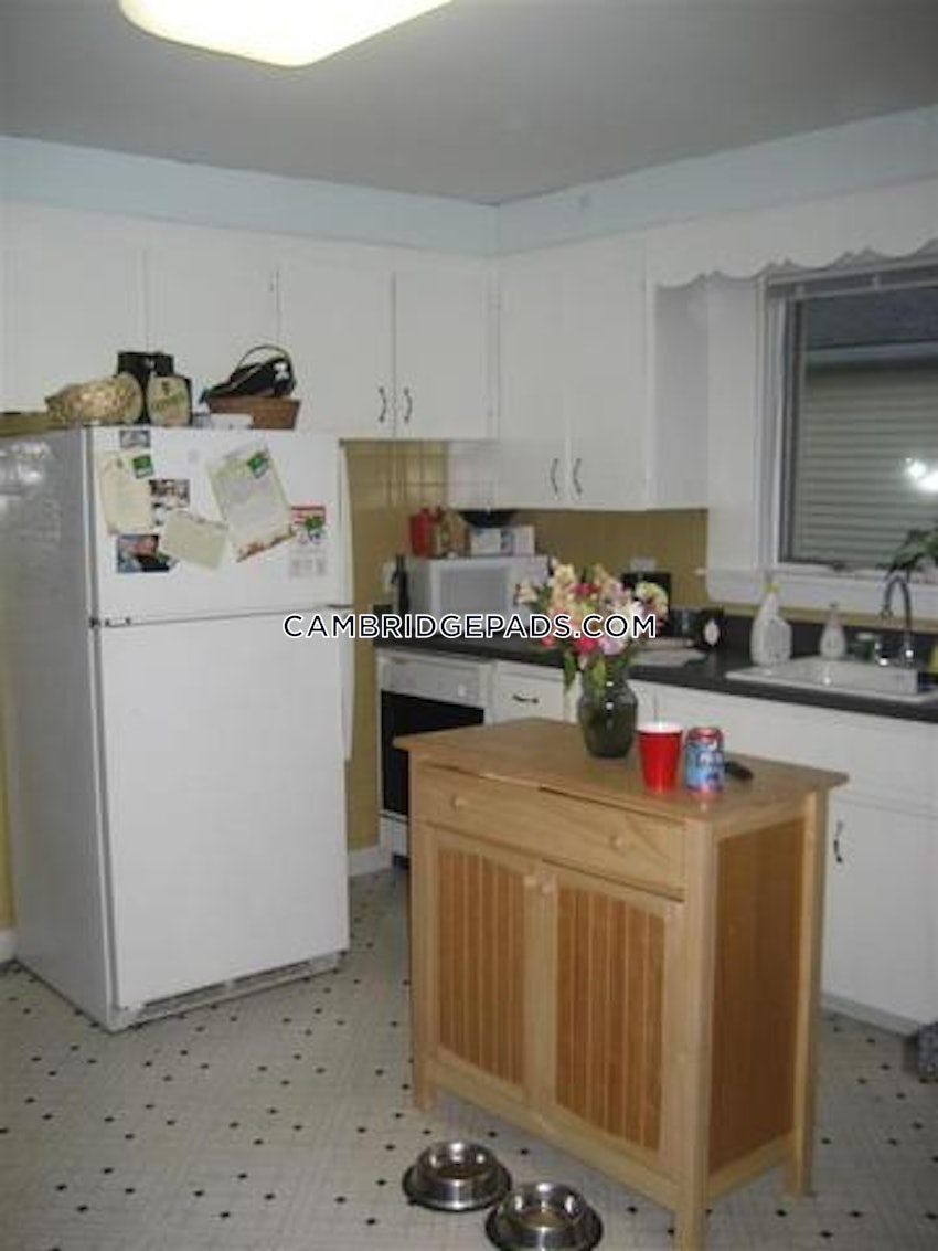CAMBRIDGE - LECHMERE - 4 Beds, 1 Bath - Image 17
