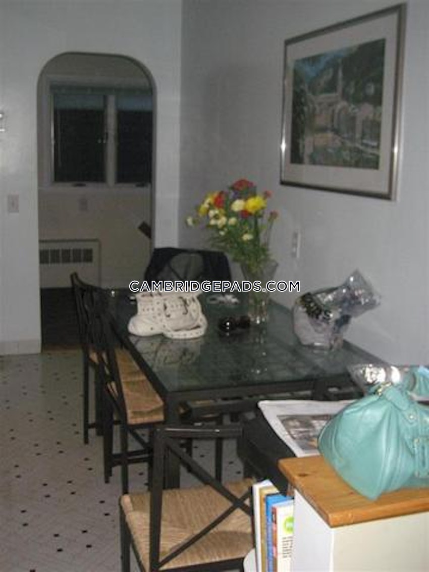 CAMBRIDGE - LECHMERE - 4 Beds, 1 Bath - Image 11