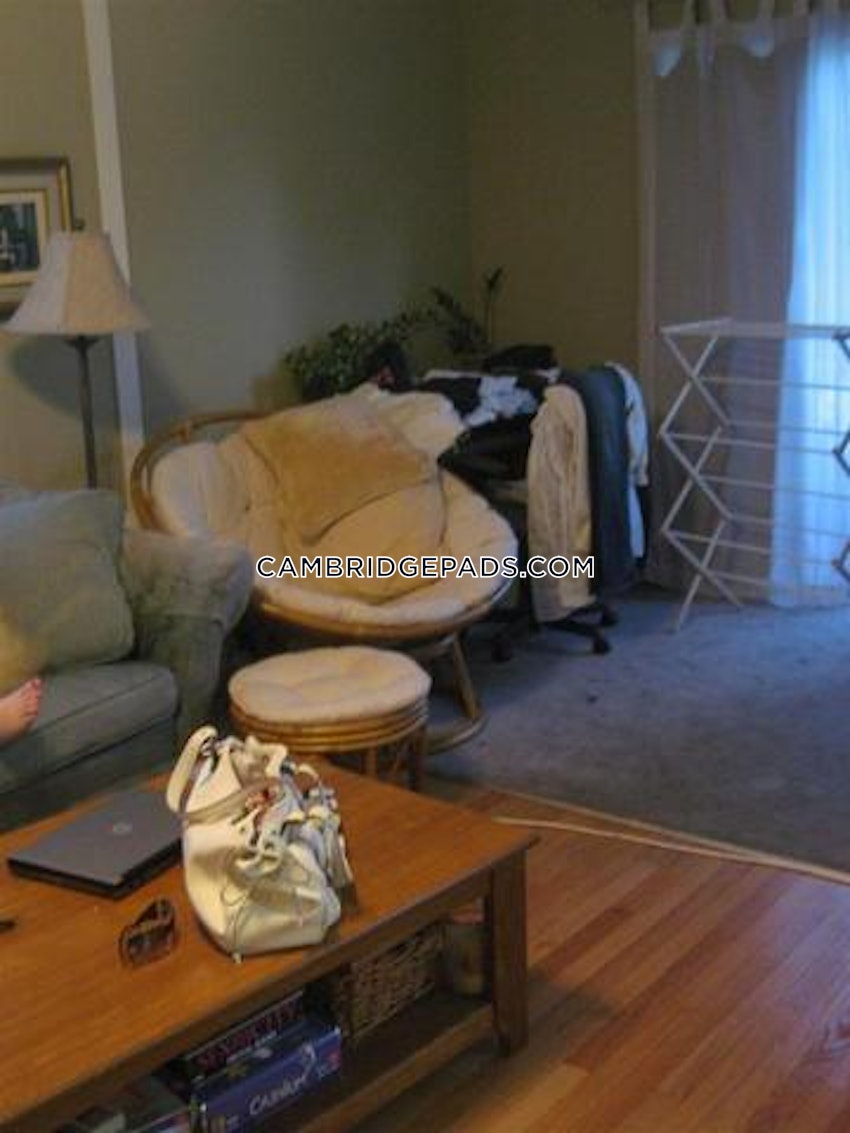 CAMBRIDGE - LECHMERE - 4 Beds, 1 Bath - Image 7