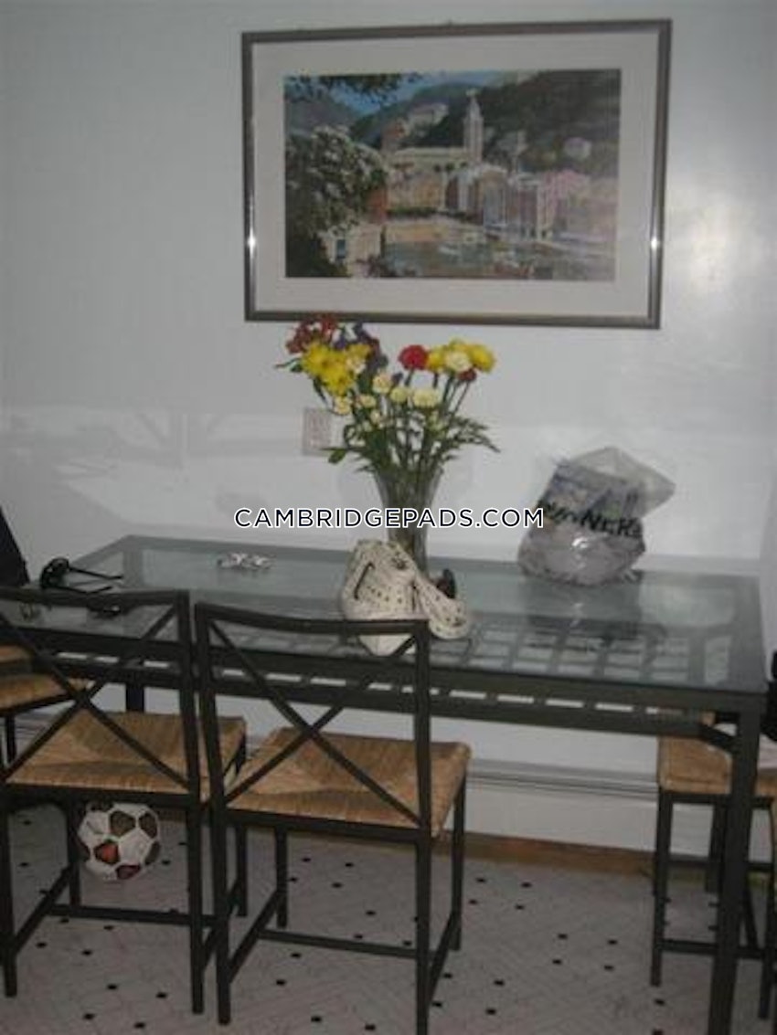 CAMBRIDGE - LECHMERE - 4 Beds, 1 Bath - Image 6