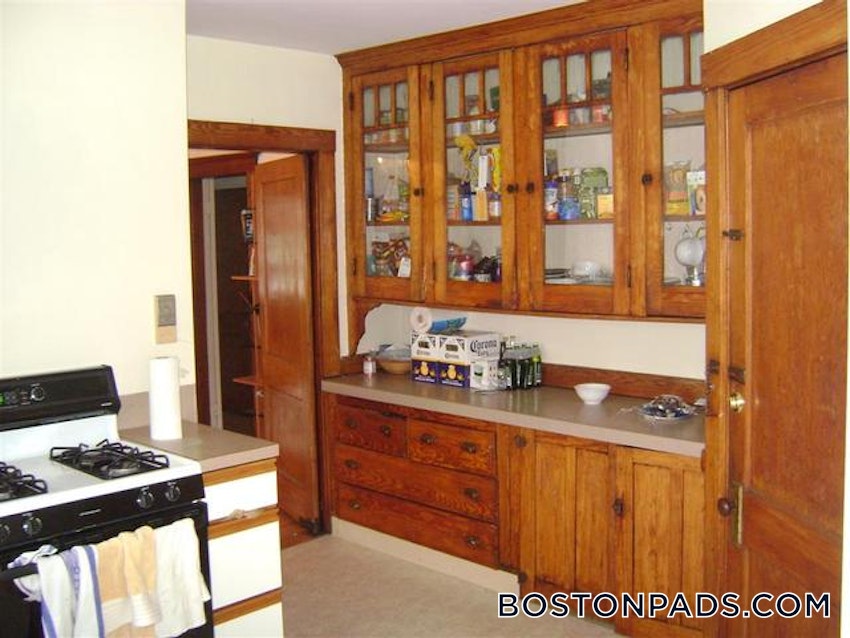 CAMBRIDGE - MT. AUBURN/BRATTLE/ FRESH POND - 3 Beds, 1 Bath - Image 13