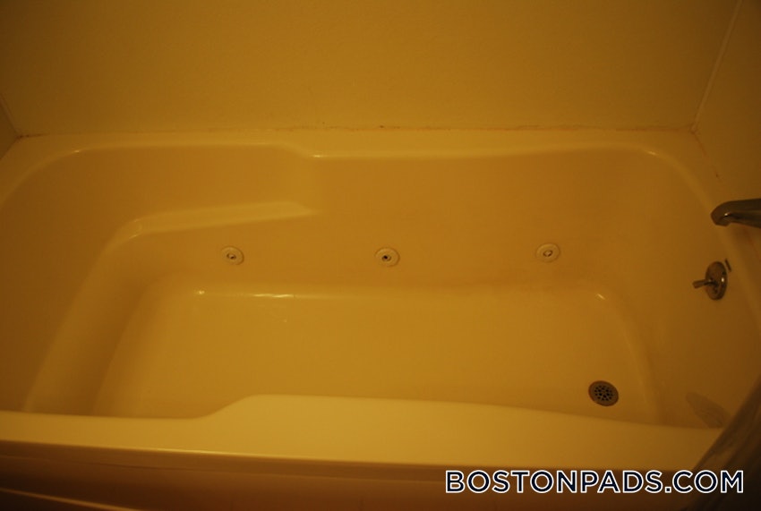 CAMBRIDGE - MT. AUBURN/BRATTLE/ FRESH POND - Studio , 1 Bath - Image 10