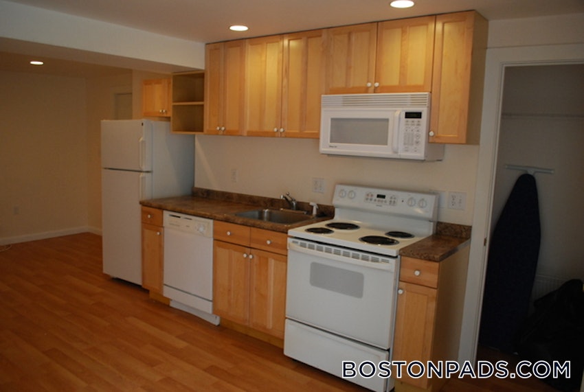 CAMBRIDGE - MT. AUBURN/BRATTLE/ FRESH POND - Studio , 1 Bath - Image 9